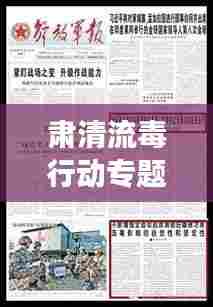 肃清流毒行动专题报告，揭秘行动背后的深层意义与成效