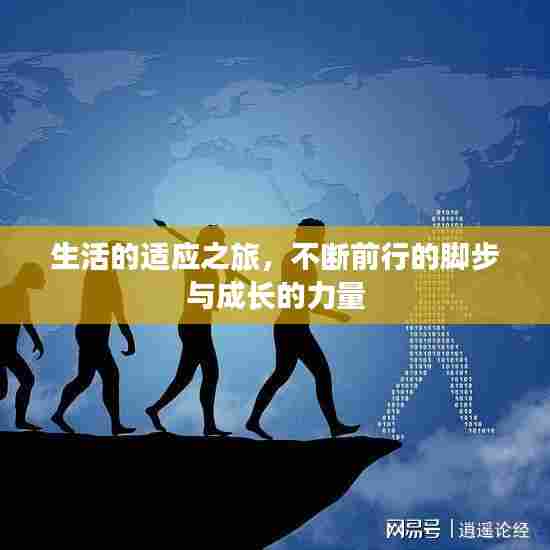 生活的适应之旅,不断前行的脚步与成长的力量