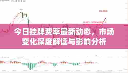 今日挂牌费率最新动态，市场变化深度解读与影响分析