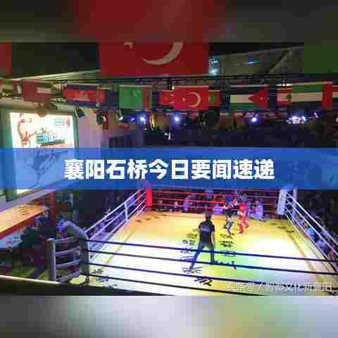 改弦易张 第5页