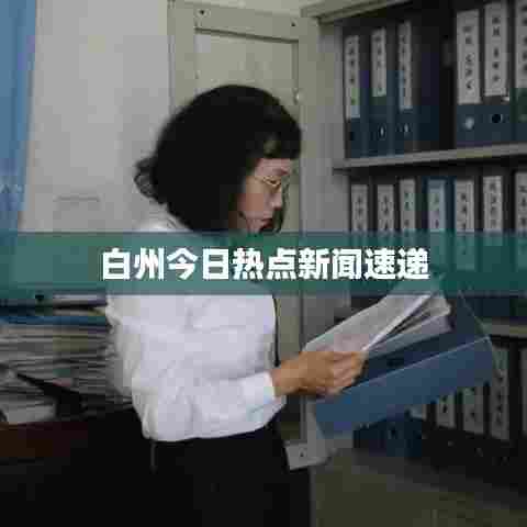 白州今日热点新闻速递
