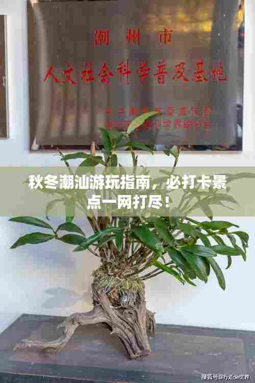 秋冬潮汕游玩指南,必打卡景点一网打尽!