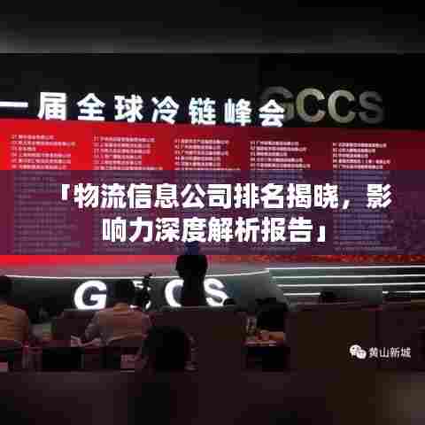「物流信息公司排名揭晓,影响力深度解析报告」