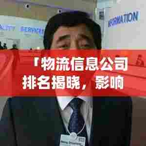 「物流信息公司排名揭晓,影响力深度解析报告」