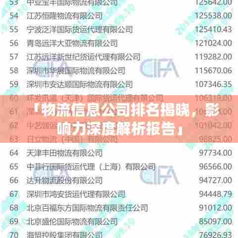 「物流信息公司排名揭晓,影响力深度解析报告」