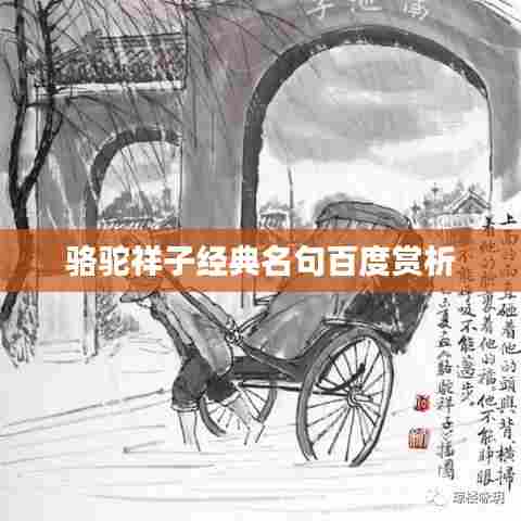 骆驼祥子经典名句百度赏析