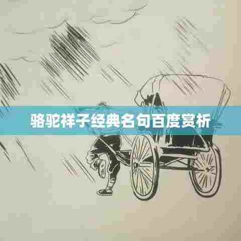 骆驼祥子经典名句百度赏析