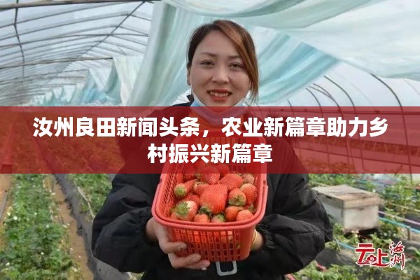 汝州良田新闻头条,农业新篇章助力乡村振兴新篇章