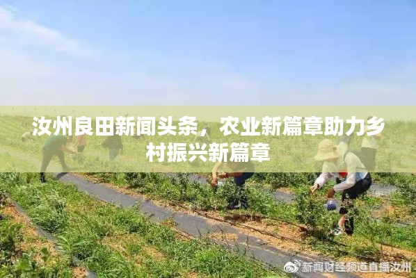 汝州良田新闻头条,农业新篇章助力乡村振兴新篇章