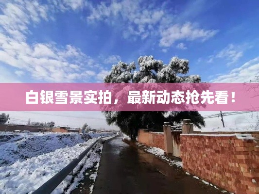 白银雪景实拍,最新动态抢先看!