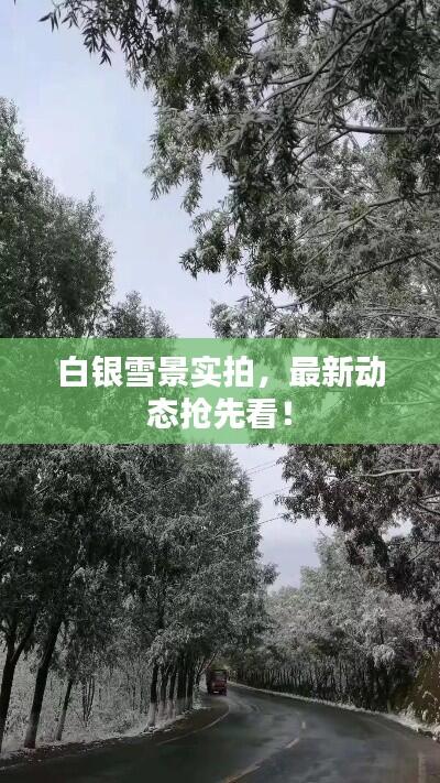 白银雪景实拍,最新动态抢先看!