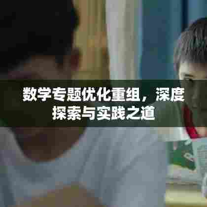 数学专题优化重组,深度探索与实践之道