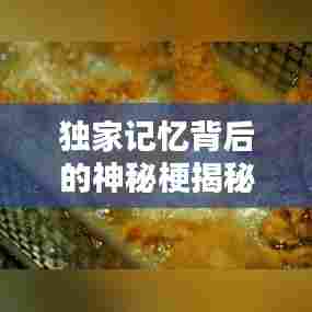 独家记忆背后的神秘梗揭秘