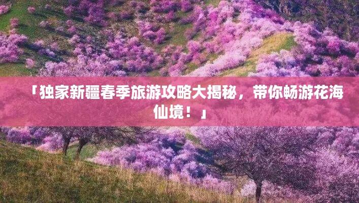 「独家新疆春季旅游攻略大揭秘,带你畅游花海仙境!」