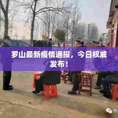 罗山最新疫情通报,今日权威发布!