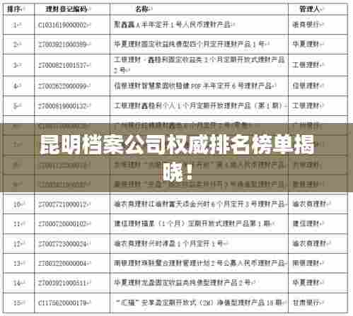 昆明档案公司权威排名榜单揭晓!