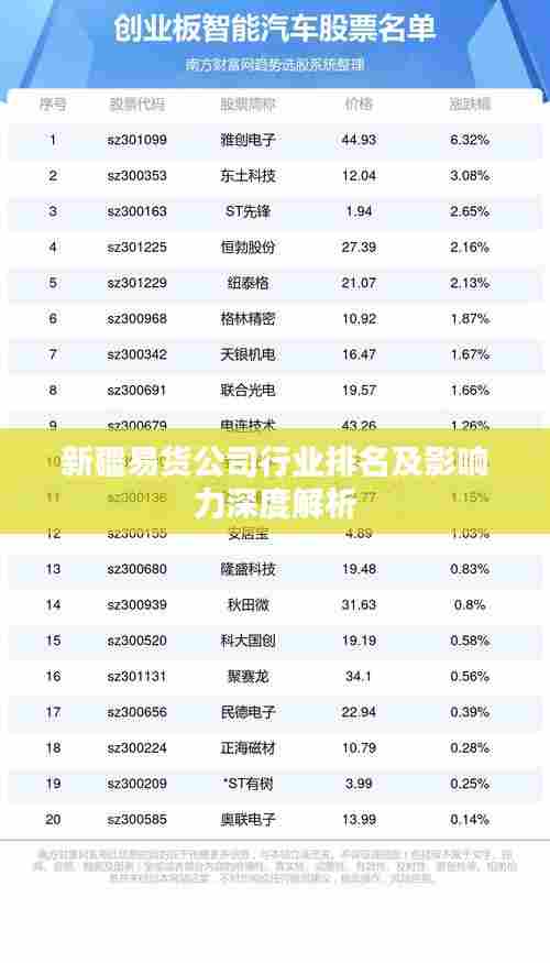 新疆易货公司行业排名及影响力深度解析