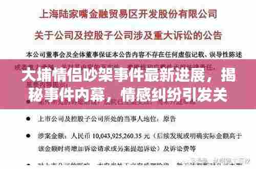 大埔情侣吵架事件最新进展,揭秘事件内幕,情感纠纷引发关注