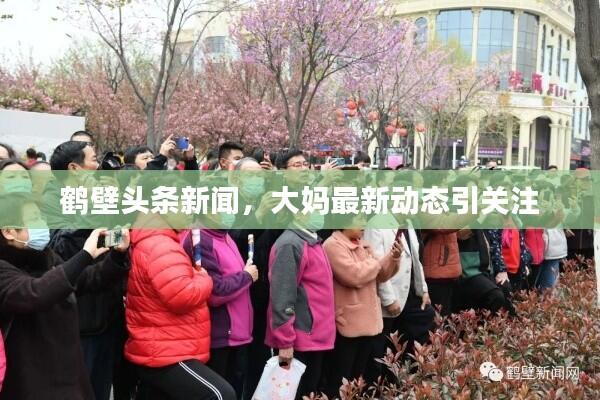 鹤壁头条新闻，大妈最新动态引关注