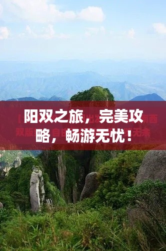 阳双之旅,完美攻略,畅游无忧!