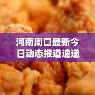 河南周口最新今日动态报道速递
