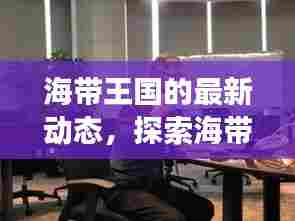 海带王国的最新动态,探索海带产业的蓬勃发展