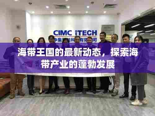 海带王国的最新动态,探索海带产业的蓬勃发展