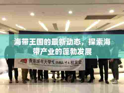 海带王国的最新动态,探索海带产业的蓬勃发展