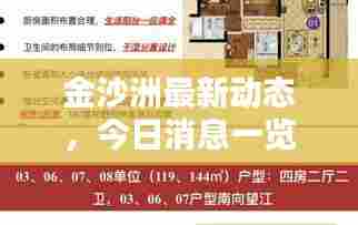 金沙洲最新动态，今日消息一览