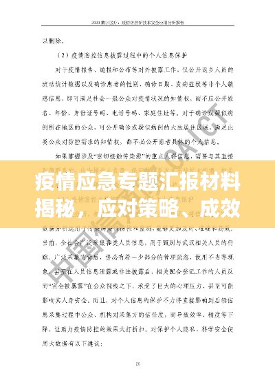 疫情应急专题汇报材料揭秘,应对策略、成效与待改进之处