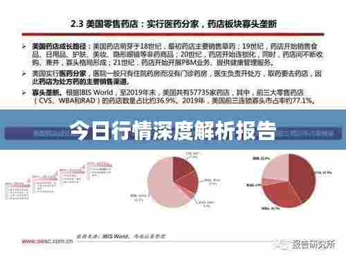 今日行情深度解析报告