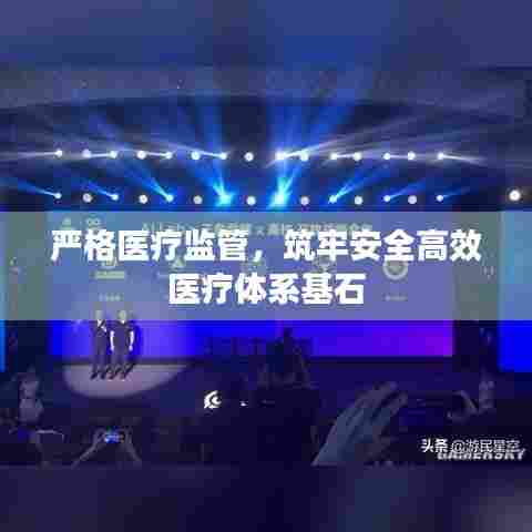 严格医疗监管,筑牢安全高效医疗体系基石