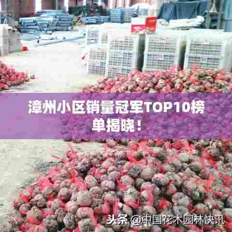 漳州小区销量冠军TOP10榜单揭晓！