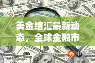 美金结汇最新动态,全球金融市场波动及影响分析