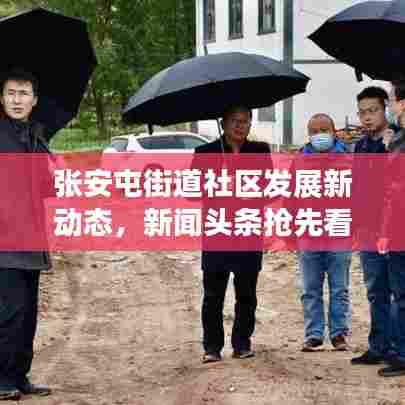 张安屯街道社区发展新动态,新闻头条抢先看