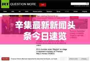 辛集最新新闻头条今日速览