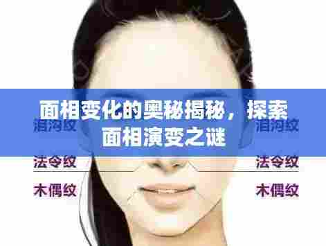 面相变化的奥秘揭秘,探索面相演变之谜