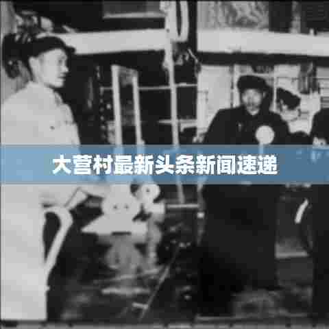 大营村最新头条新闻速递