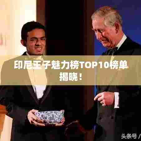 印尼王子魅力榜TOP10榜单揭晓!