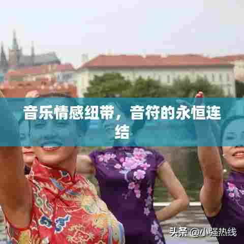 音乐情感纽带，音符的永恒连结