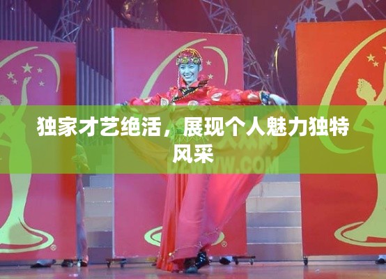 独家才艺绝活,展现个人魅力独特风采