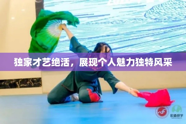 独家才艺绝活,展现个人魅力独特风采