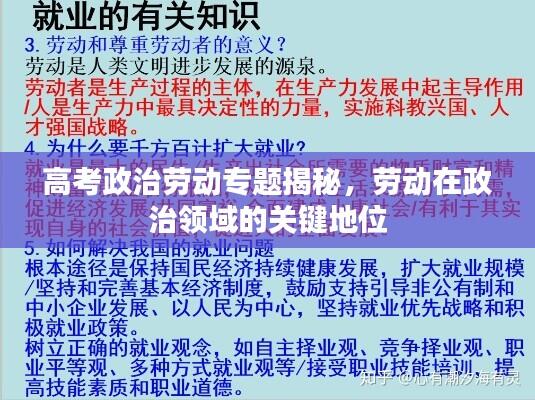 高考政治劳动专题揭秘,劳动在政治领域的关键地位