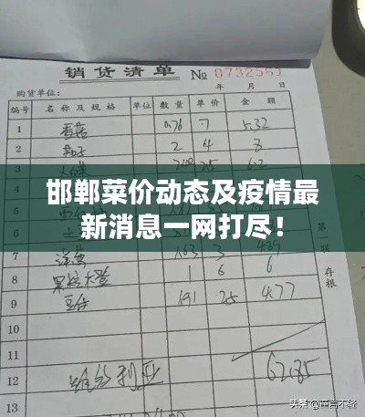 邯郸菜价动态及疫情最新消息一网打尽!
