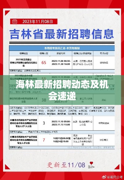海林最新招聘动态及机会速递