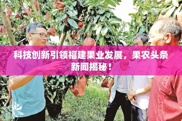 科技创新引领福建果业发展,果农头条新闻揭秘!