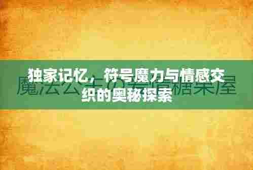 独家记忆，符号魔力与情感交织的奥秘探索