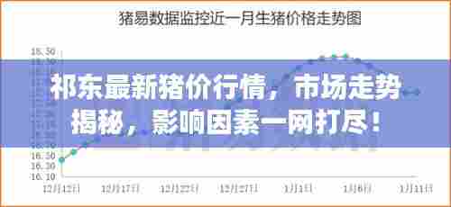 祁东最新猪价行情,市场走势揭秘,影响因素一网打尽!