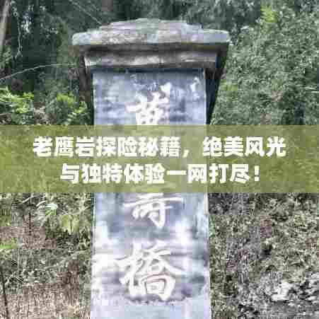老鹰岩探险秘籍,绝美风光与独特体验一网打尽!