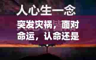 突发灾祸,面对命运,认命还是抗争?